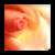 :iconmrsemmettcullen508:
