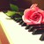 :iconmrsgalehawthorne: