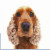 :iconmrshenaire: