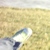 :iconmrsks: