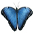 :iconmrslindseycox: