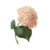 :iconmrslunchbox: