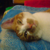 :iconmrsmrs1988: