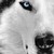 :iconmrsp4c3m4n: