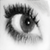 :iconmrsporkelton: