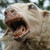 :iconmrsupersheep: