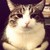 mrswatson :iconmrswatson: