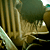 :iconmrvitze: