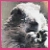 :iconmrwoodchuck61: