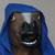 :iconmrwubwub: