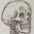 :iconms-06j: