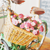 :iconms-abrar: