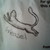 :iconms-biscuit: