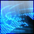 :iconms-designs: