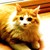 :iconms-mondaybsn: