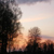 :iconms-moonlight: