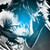 :iconmsauthenticityx: