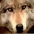 :iconmsbd832: