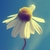 :iconmsbennet54: