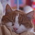 :iconmsbookworm23:
