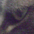 :iconmscami: