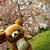 :iconmscandyuser: