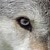 mschristine :iconmschristine: