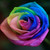 :iconmsdrprofkittyphd: