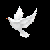 :iconmsladydove: