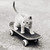 :iconmslphotography: