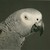 :iconmsmith1970: