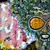 :iconmspink: