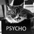 :iconmsrabbit74: