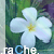 :iconmsrachel: