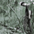 :iconmsutherland91:
