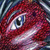:iconMT2022: