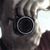 :iconmtarantola: