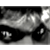:iconmtfloyd: