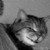 :iconmthalves: