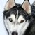 mtnman62 :iconmtnman62: