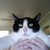 :iconmtr0623: