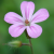 :iconmtr1st4n: