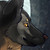:iconmudbreath: