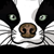 :iconmudpaw: