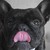 :iconmudypawz: