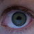 :iconmuffin198: