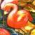 :iconmuffinbuddy: