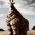 :iconmuffinman8641: