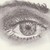 :iconmuffintheboffin: