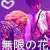 :iconmugen-no-hana: